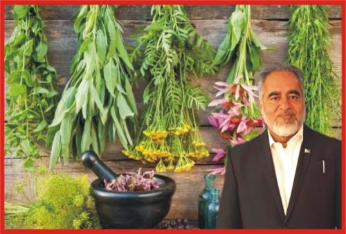 گرین پاکستان پروگرام کے تحت ادویاتی پودوں کی کاشت کیوں نہیں؟