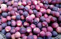 فالسے کے 12 فائدے